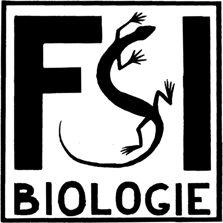 FSI-Logo